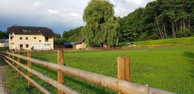 Ferienhaus Holland kaufen 010