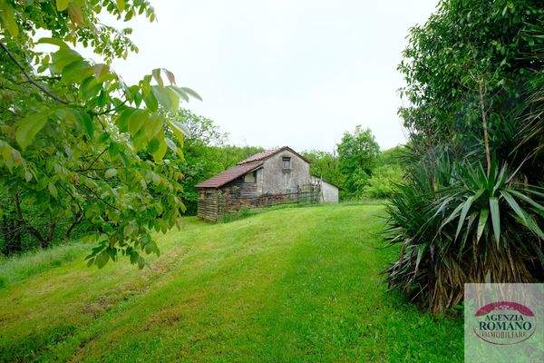 Rif 1323(Copy80).jpg