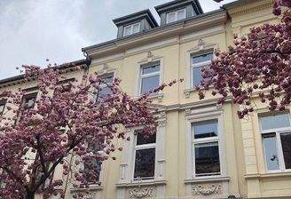 Aussenansicht Kirschblüte