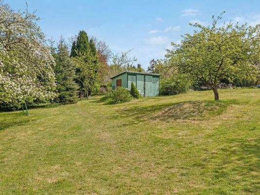 Alter Obstbaumbestand_1