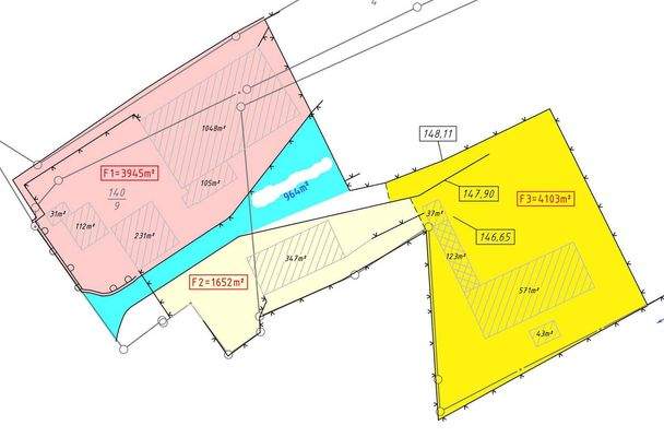 Entwicklungsfläche F1