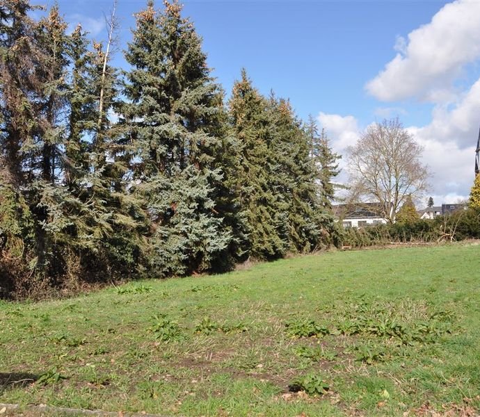 Erftstadt 958 m² Baugrundstück Baulücke