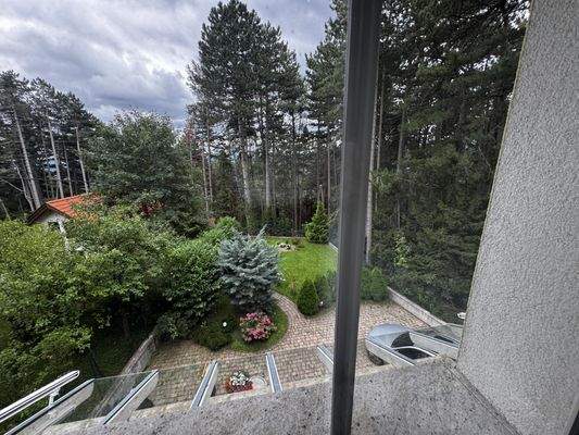 Ausblick in den Garten