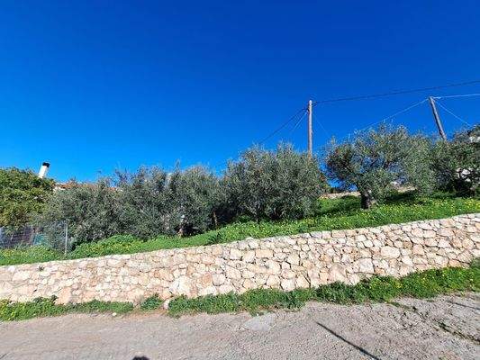 WhatsApp Image 2025-01-30 at 15.11.08_8db5f7b5.jpg