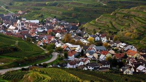 Vogtsburg i.K. Grundstücke, Vogtsburg i.K. Grundstück kaufen