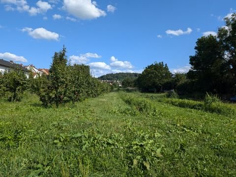 Weinheim Grundstücke, Weinheim Grundstück kaufen