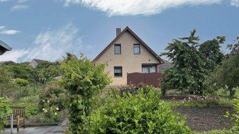 Calbe Häuser, Calbe Haus kaufen