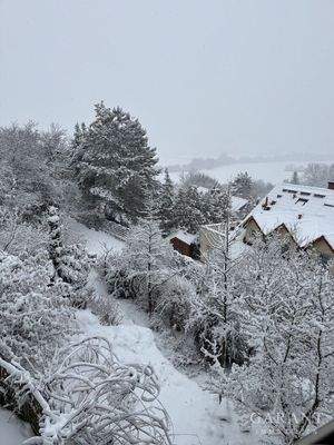 Aussicht auf Garten - Winter
