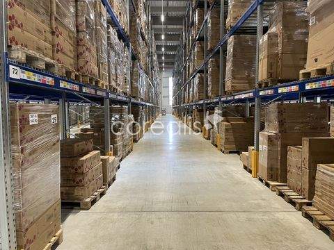 Mönchengladbach Halle, Mönchengladbach Hallenfläche