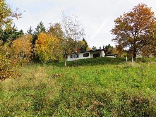 sonnige Waldrandlage 