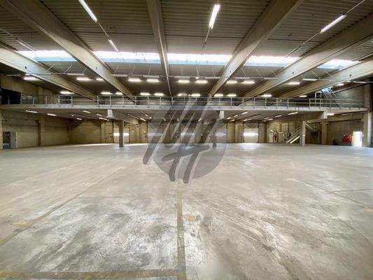 INFOS UNTER: 06171-586000