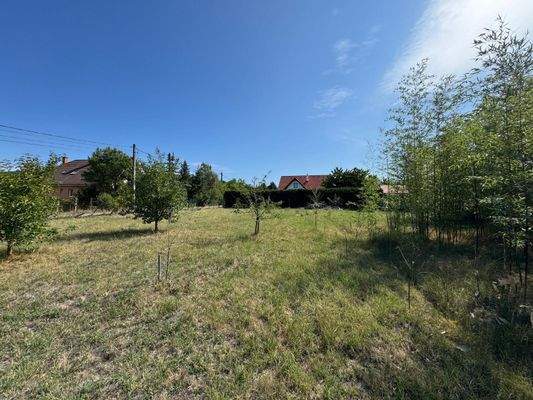 WhatsApp-kép, 2025-07-27, 20.08.03_0423bdb3.jpg