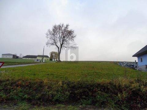 Schönbühel an der Donau Grundstücke, Schönbühel an der Donau Grundstück kaufen