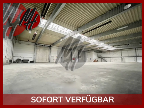 Eppertshausen Halle, Eppertshausen Hallenfläche