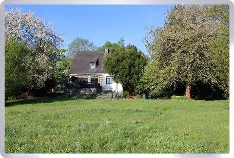 Plauen Häuser, Plauen Haus kaufen