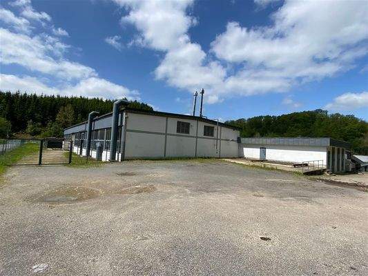 Hallen-Gelände_mit Lkw-Zufahrt