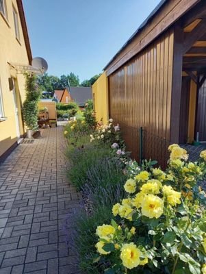 zum Hauseingang und Garten