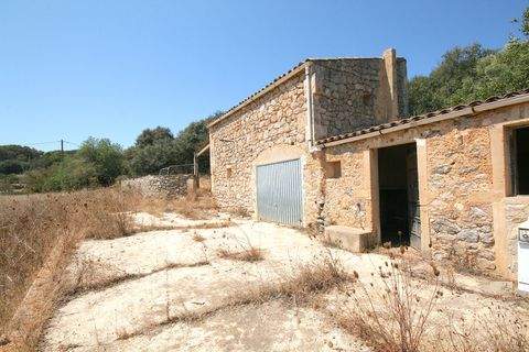 Arta Häuser, Arta Haus kaufen