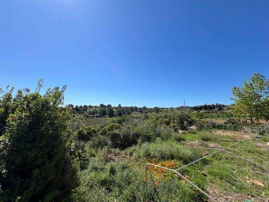 20250424_095159516_iOS