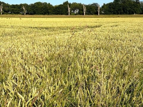 Düsseldorf Bauernhöfe, Landwirtschaft, Düsseldorf Forstwirtschaft