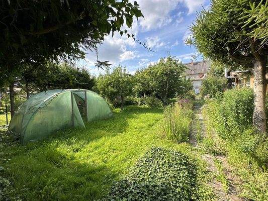 Garten mit Gewächshaus