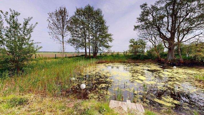 Blick auf den Teich.jpg