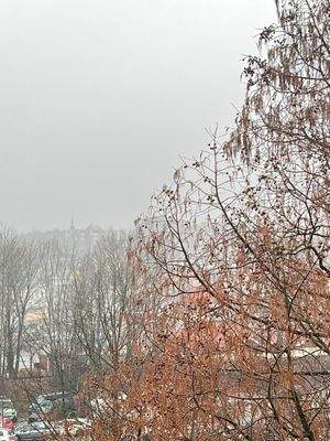 Ausblick leider an einem diesigen Tag