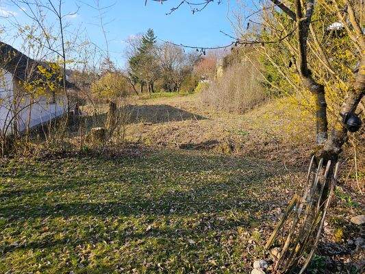 Dammwiesen 1c von Süden.jpg