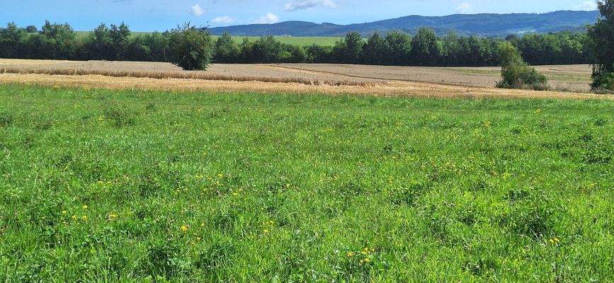Natur und Ruhe sind Ihre Nachbarn