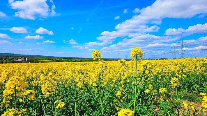 28 Impressionen Umgebung.jpg