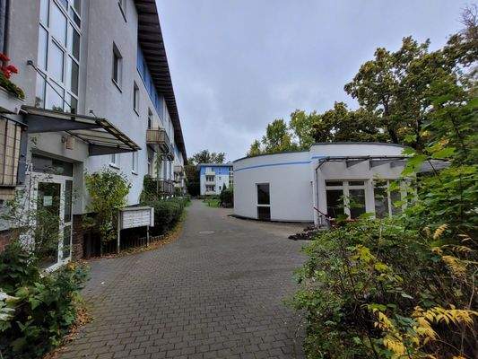 20251007_120408_resized