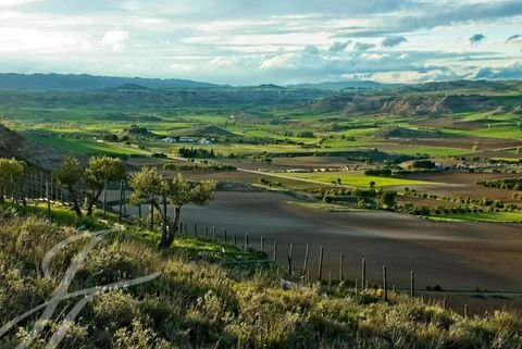 Cuenca Bauernhöfe, Landwirtschaft, Cuenca Forstwirtschaft