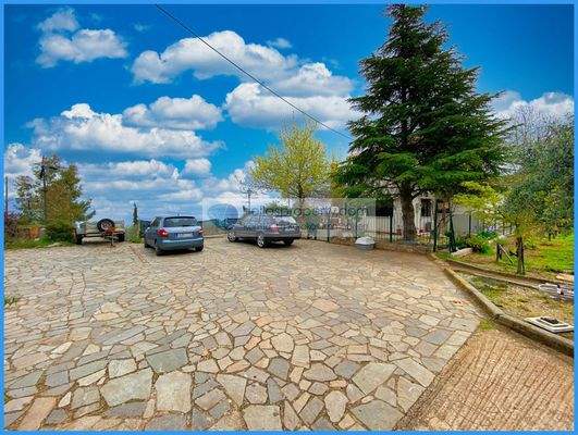 6226261680e14eb69564544206b05619-original