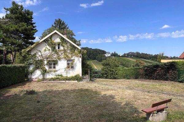 565b3bf0-d576-4d64-8