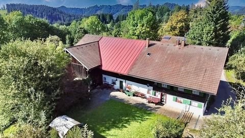 Grünenbach Häuser, Grünenbach Haus kaufen