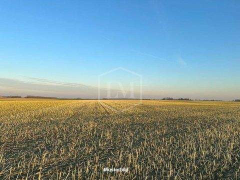 Sankt Augustin Bauernhöfe, Landwirtschaft, Sankt Augustin Forstwirtschaft