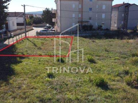 Sveti Filip i Jakov Bauernhöfe, Landwirtschaft, Sveti Filip i Jakov Forstwirtschaft