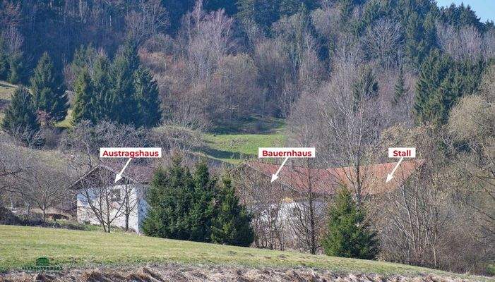 Bauernhof, Immobilien-Kurz-Salzburg