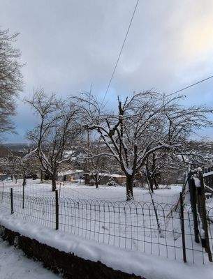 WhatsApp Image 2026-01-09 at 14.16.32 (3).jpeg