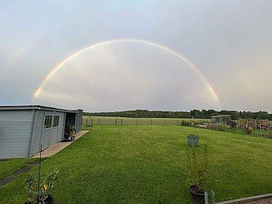 Traumblick Richtung Feld/Waldrand