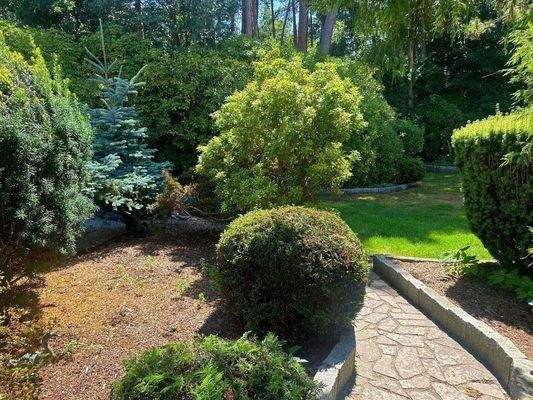 Weg zum Waldgrundstück