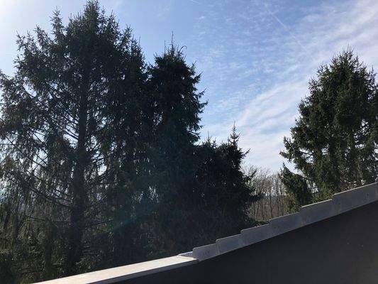 Blcik von der Dachterrasse 2.jpeg