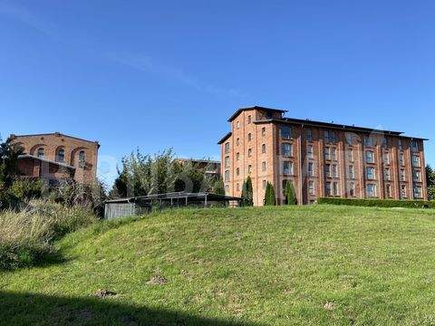 Greifswald Wohnungen, Greifswald Wohnung kaufen