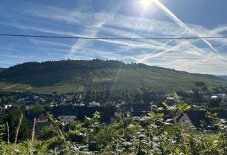 IMG_2228.jpeg