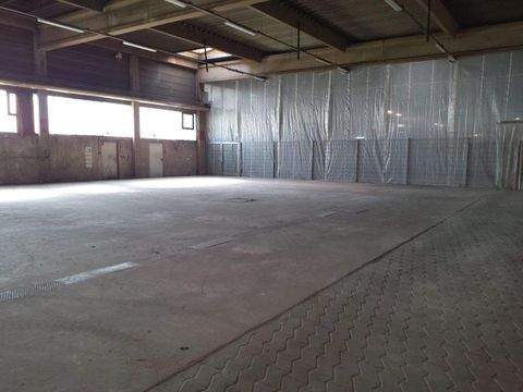 Troisdorf Halle, Troisdorf Hallenfläche