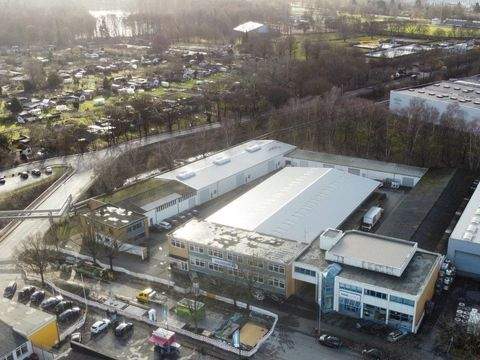 Hameln Halle, Hameln Hallenfläche