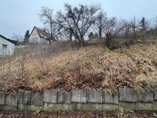 Grundstück | Süd-Ansicht