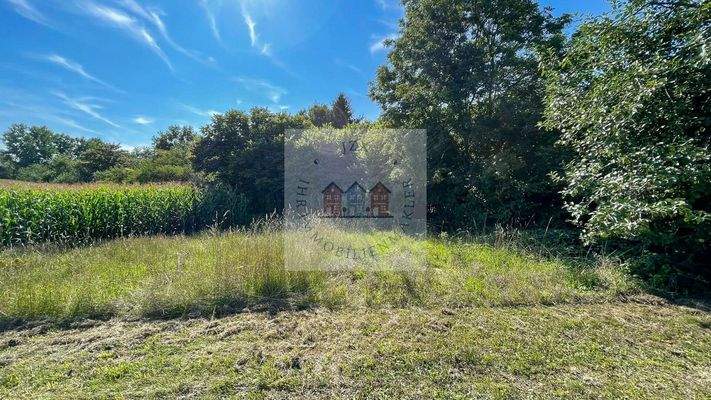 PHOTO-2025-08-25-10-36-54 4