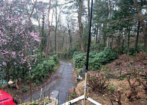 Auffahrt zum Haus von oben