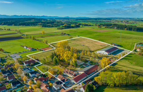 Kaltental Bauernhöfe, Landwirtschaft, Kaltental Forstwirtschaft